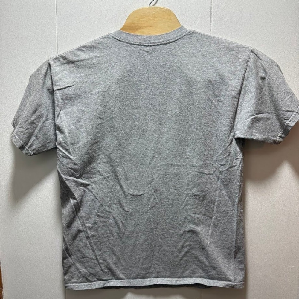 Detroit Red Wings Mens Gildan Heavy Cotton T Shirt Gray Size Large Vtg Y2K - Picture 4 of 4